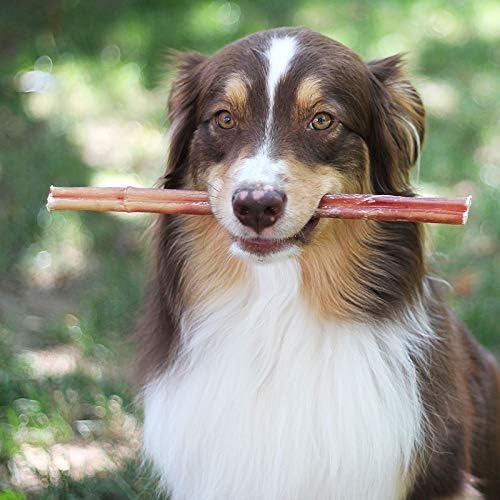100% Natural Brazilian Bully Sticks - 1 lb Bag 10.00% Off Auto renew - Cheapnfast