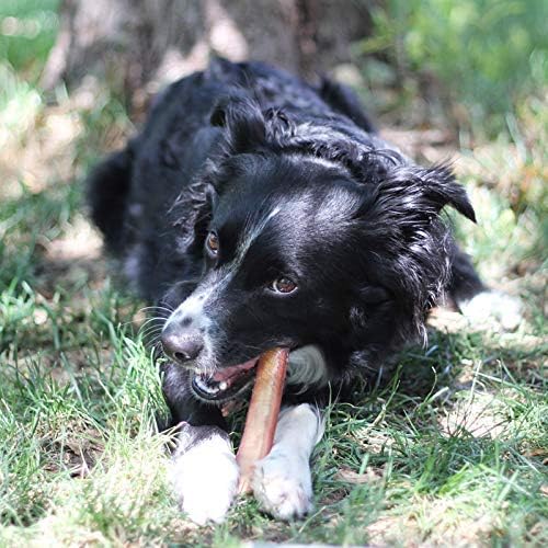 100% Natural Brazilian Bully Sticks - 1 lb Bag 10.00% Off Auto renew - Cheapnfast